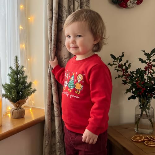 Toddler Boy Girl Christmas Outfit Kids Long Sleeve Goose Sweatshirt Tops - Image 3