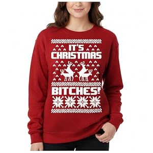 Tstars Santa Claws Cat And Flamingo Christmas Sweatshirt