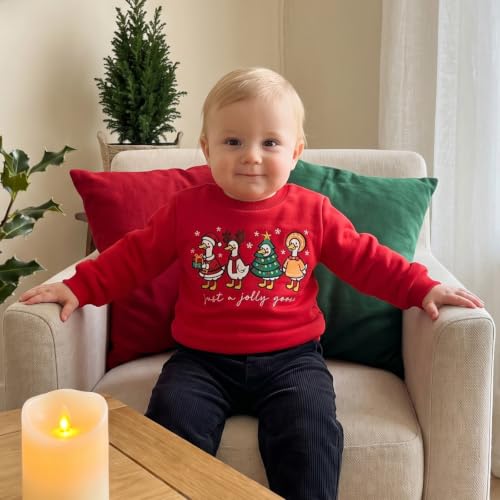 Toddler Boy Girl Christmas Outfit Kids Long Sleeve Goose Sweatshirt Tops - Image 6