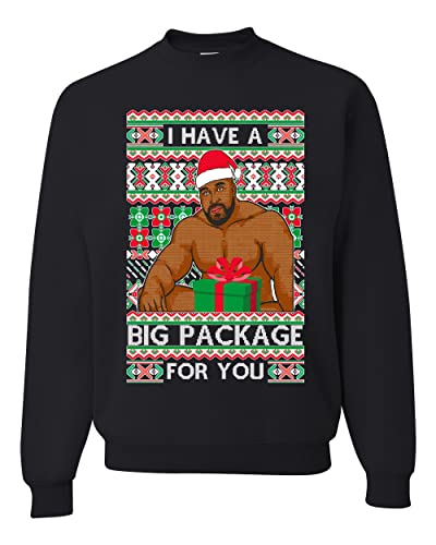 I Have A Big Package Funny Ugly Christmas Sweater Unisex Crewneck 1 I Have A Big Package Funny Ugly Christmas Sweater Unisex Crewneck