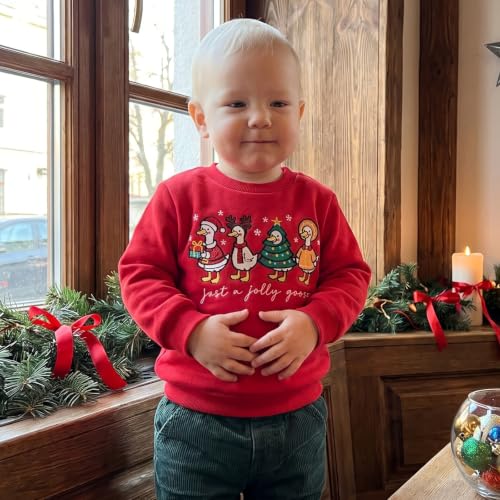 Toddler Boy Girl Christmas Outfit Kids Long Sleeve Goose Sweatshirt Tops - Image 4
