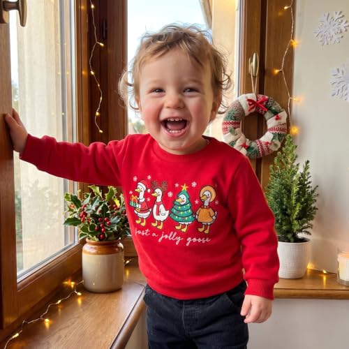 Toddler Boy Girl Christmas Outfit Kids Long Sleeve Goose Sweatshirt Tops - Image 5