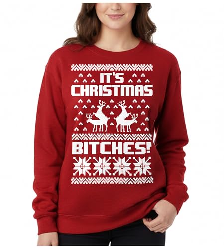 Tstars Christmas Sweatshirt Women Teen Girls Santa Claws Cat Flamingo | Soft Fleece Cat Santa Sweatshirt; Great For Christmas, Ugly Sweater Party, Festive Women Teen Girls Gift