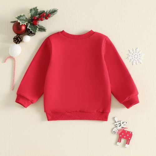 Toddler Boy Girl Christmas Outfit Kids Long Sleeve Goose Sweatshirt Tops - Image 7