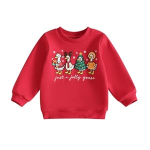 Toddler Christmas Goose Sweatshirt, Boys And Girls